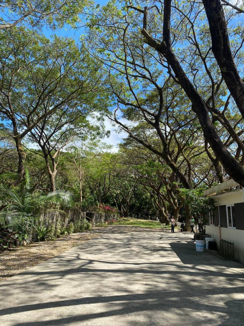 Momarco Forest Cove 타나이 외부 사진